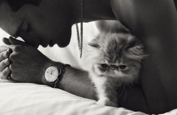 Кошечка для мужчины