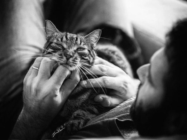 Кошечка для мужчины