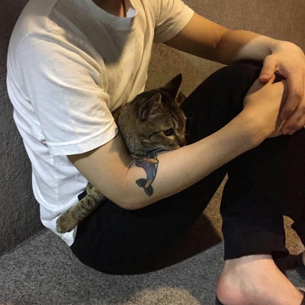 Кошечка для мужчины