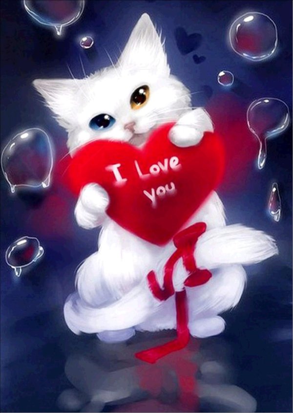 Кошечка для мужчины