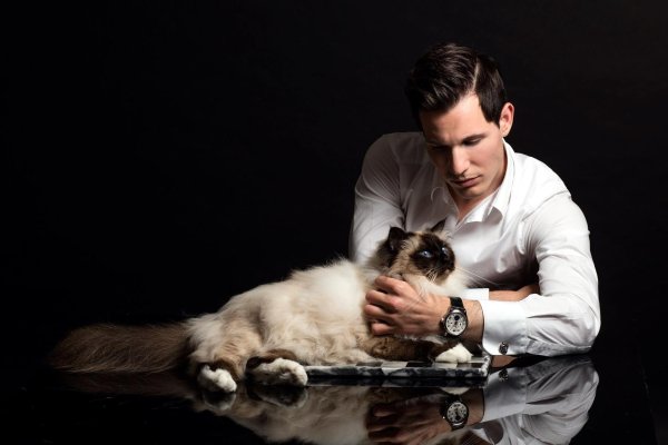 Кошечка для мужчины