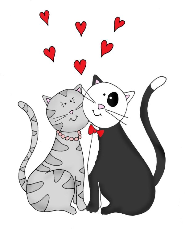 Кошечка для мужчины