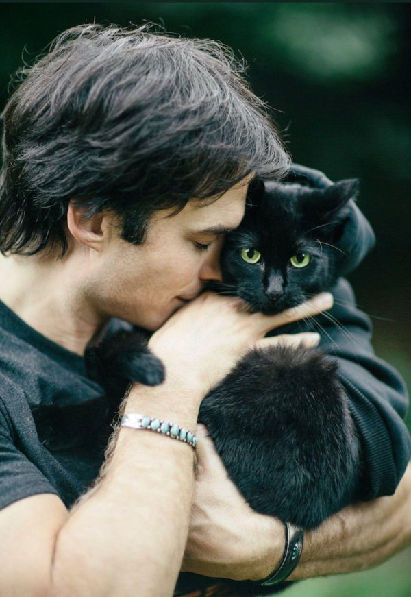 Кошечка для мужчины