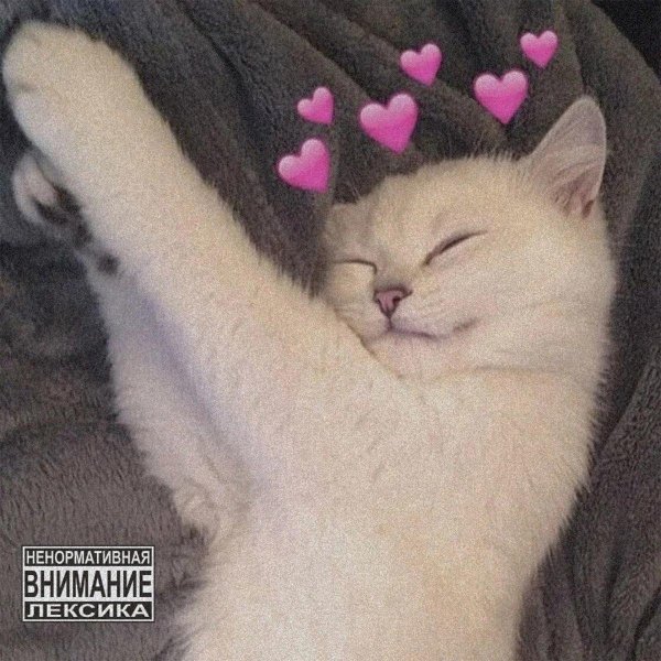 Кошечка для мужчины