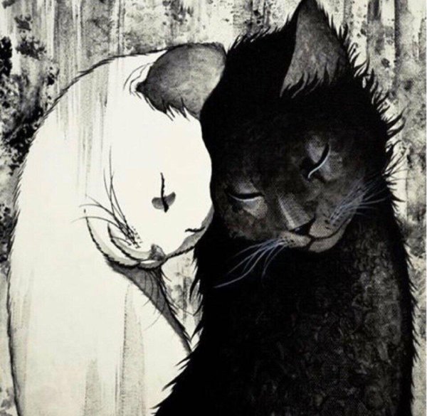 Кошечка для мужчины