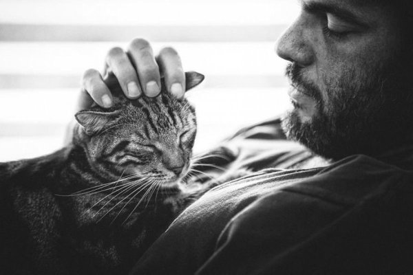 Кошечка для мужчины