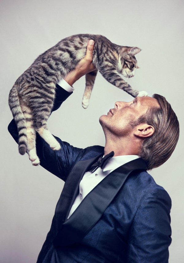 Кошечка для мужчины