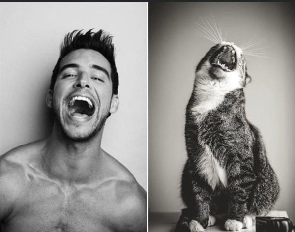 Кошечка для мужчины