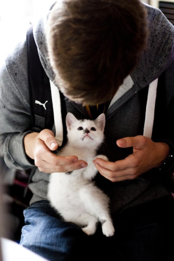 Кошечка для мужчины