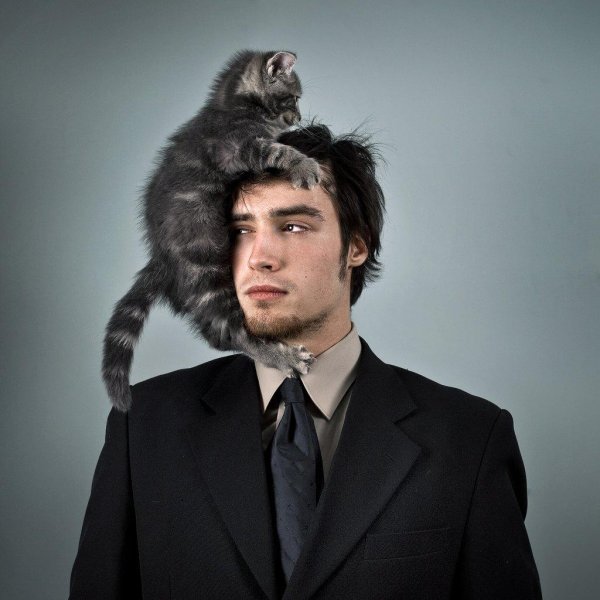 Кошечка для мужчины