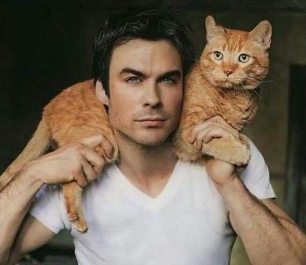 Кошечка для мужчины