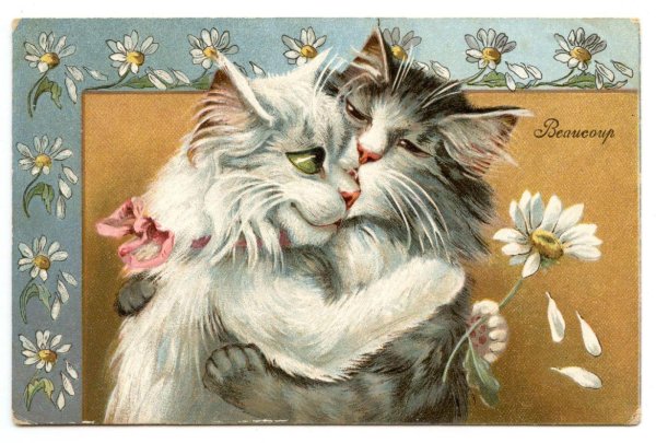 Кошечка для мужчины