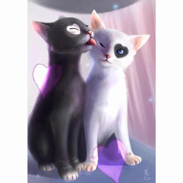 Кошечка для мужчины