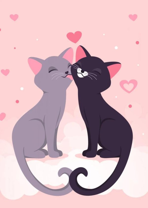 Кошечка для мужчины