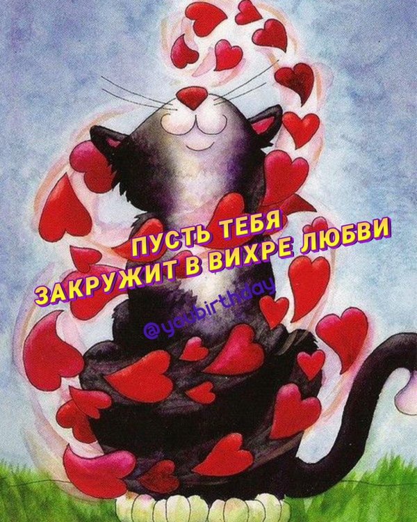 Кошечка для мужчины