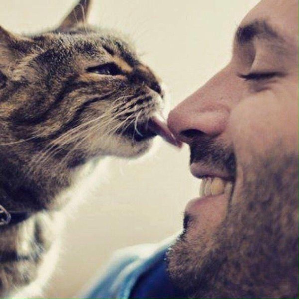 Кошечка для мужчины