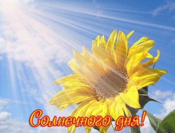 солнечного настроения