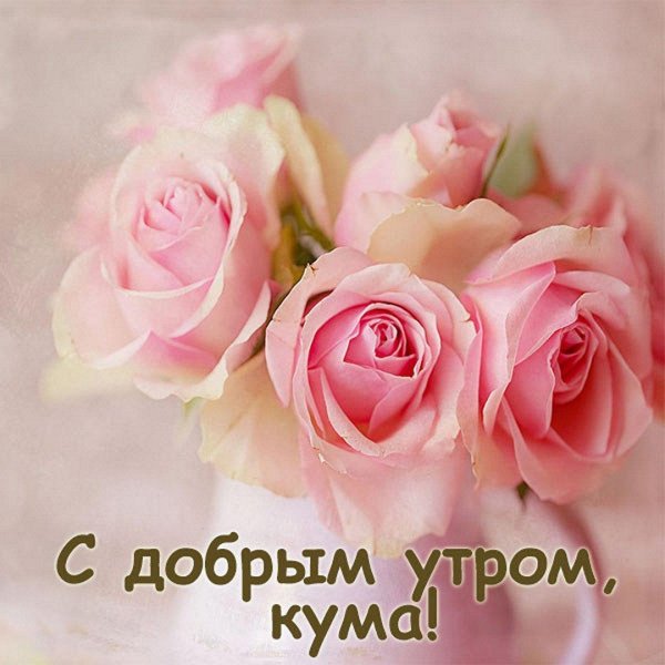 нежные розы