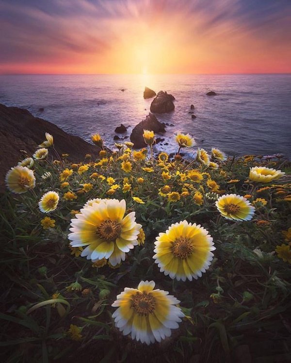 красота природа