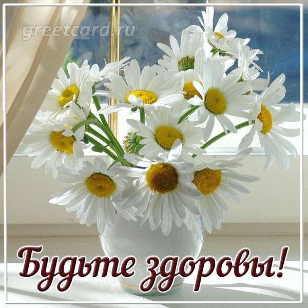 букет ромашек