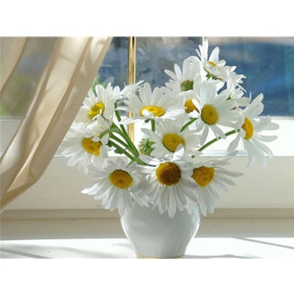 букет ромашек