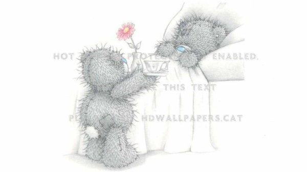 Мой любимый медвежонок для любимого мужчины