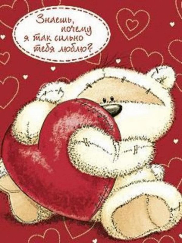Мой любимый медвежонок для любимого мужчины