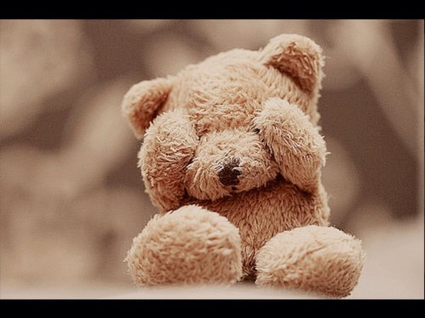 Мой любимый медвежонок для любимого мужчины