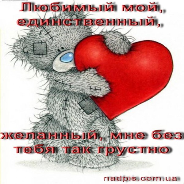 Мой любимый медвежонок для любимого мужчины