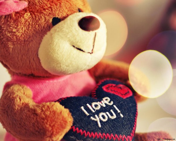 Мой любимый медвежонок для любимого мужчины