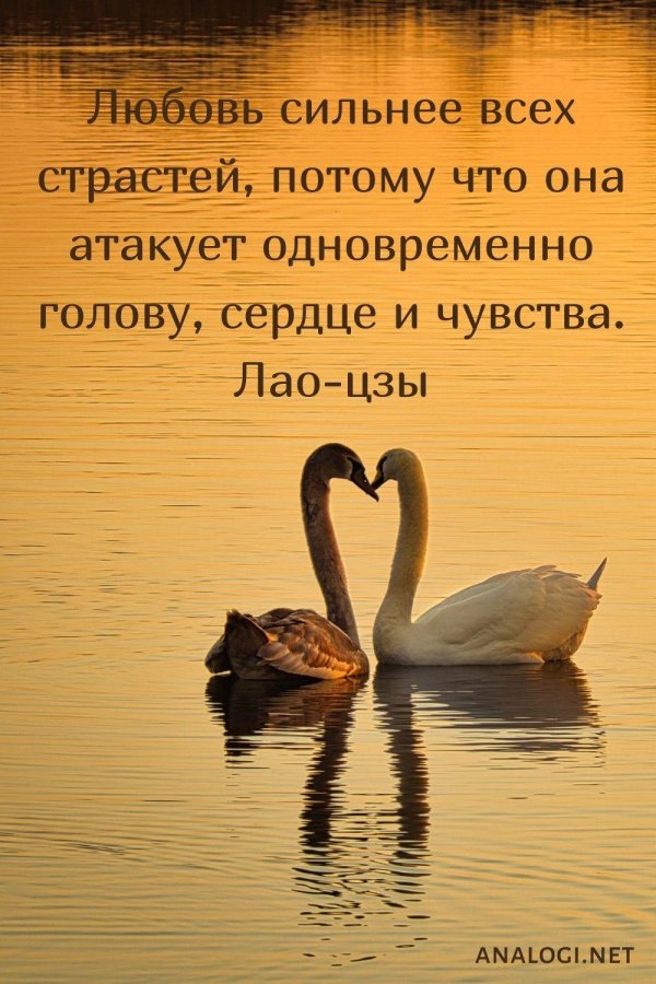 Разные со смыслом про любовь мужчины