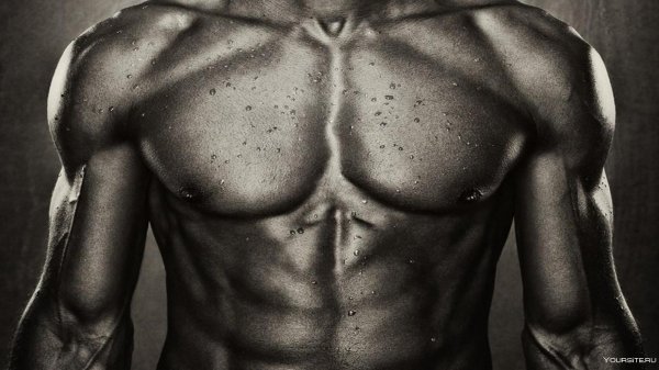 Мужчины торс