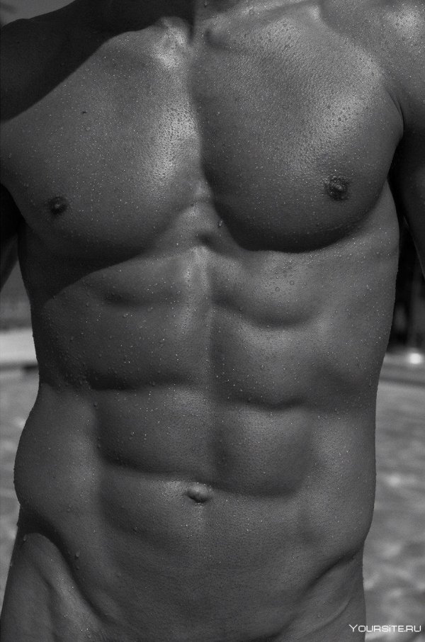 Мужчины торс