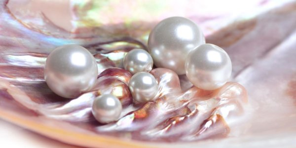 тасаки жемчуг