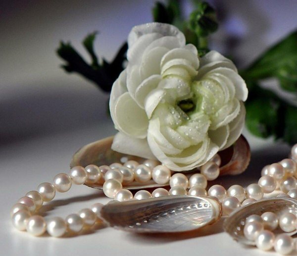 жемчуг морской