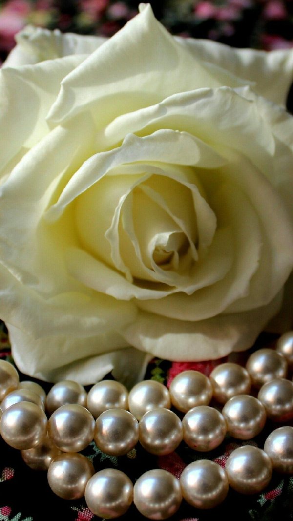 жемчуг белый