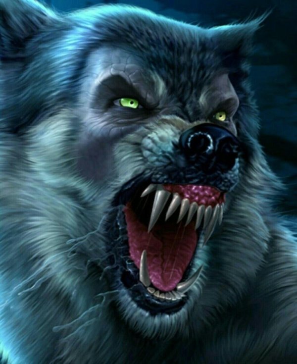 Мужчины оборотни