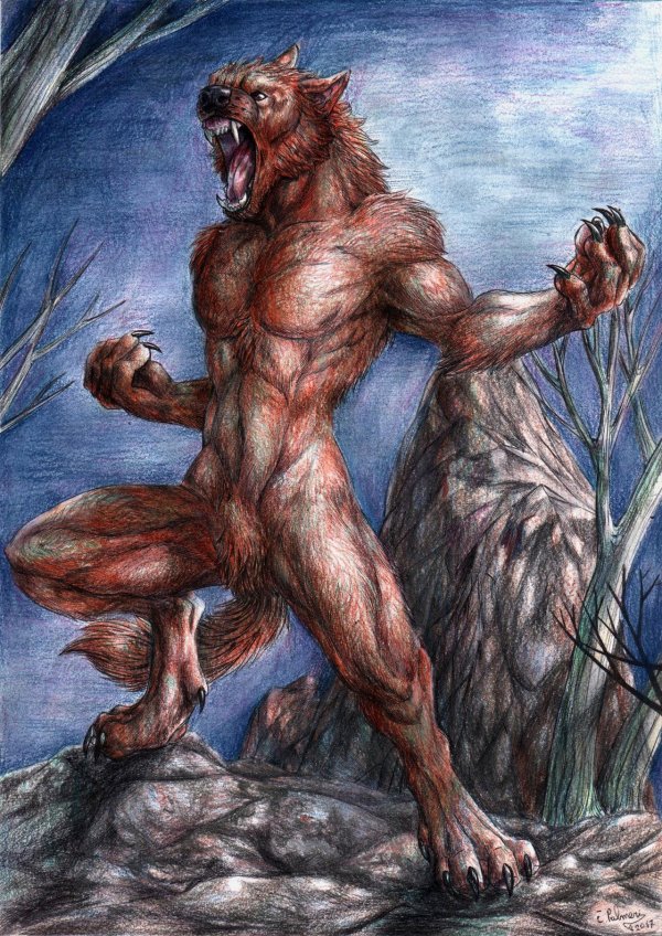 Мужчины оборотни