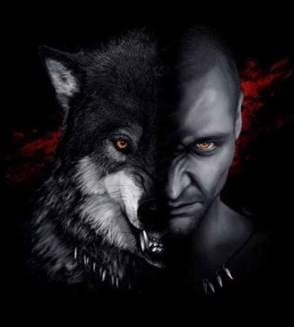 Мужчины оборотни