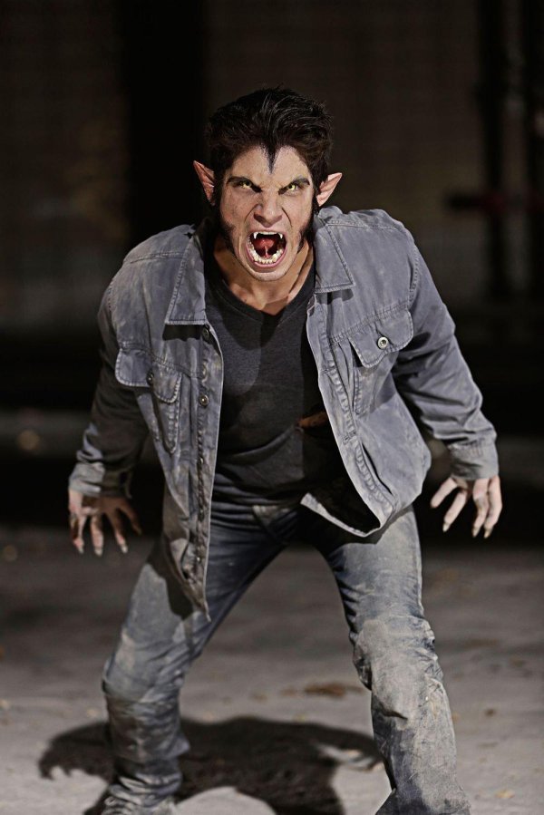 Мужчины оборотни