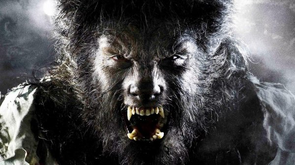 Мужчины оборотни