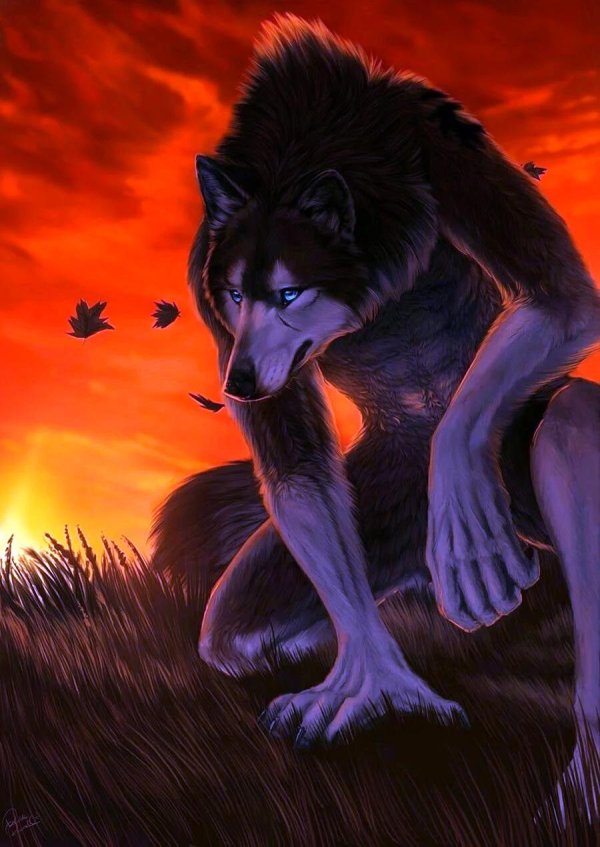 Мужчины оборотни