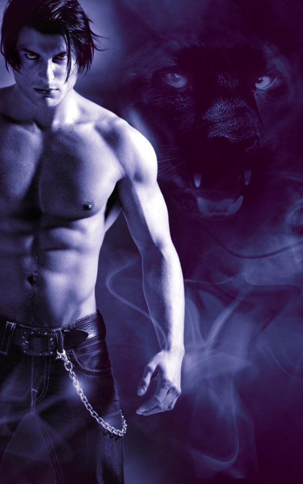 Мужчины оборотни