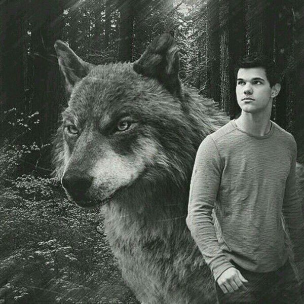 Мужчины оборотни