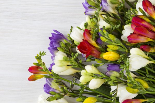 фрезии букет