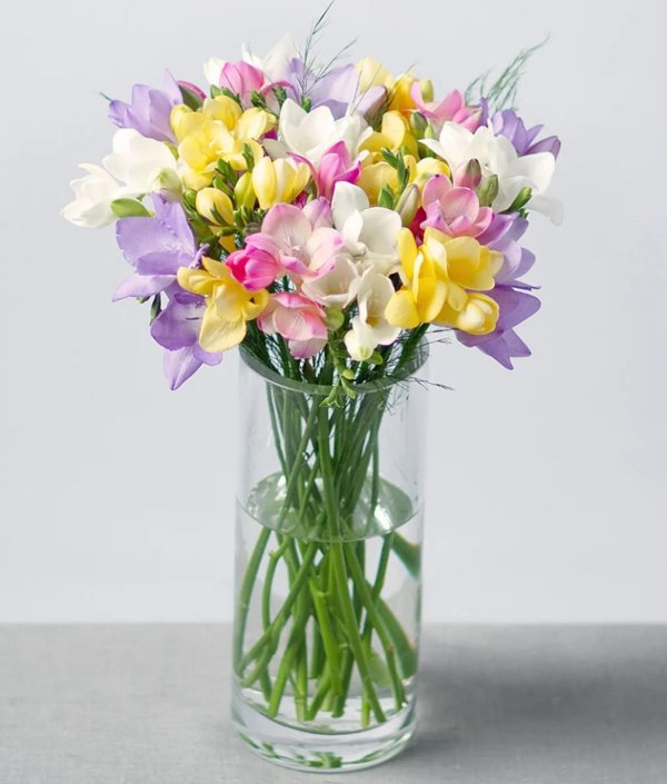 фрезии букет