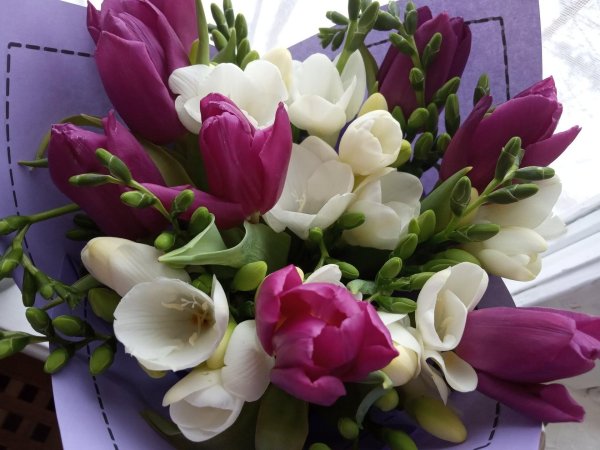 красивые букеты тюльпанов