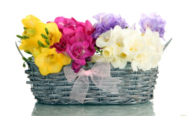 корзинка цветов