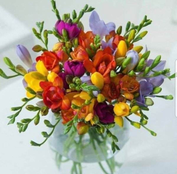 букет фрезий