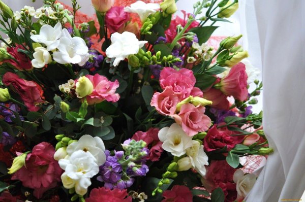 эустома букет